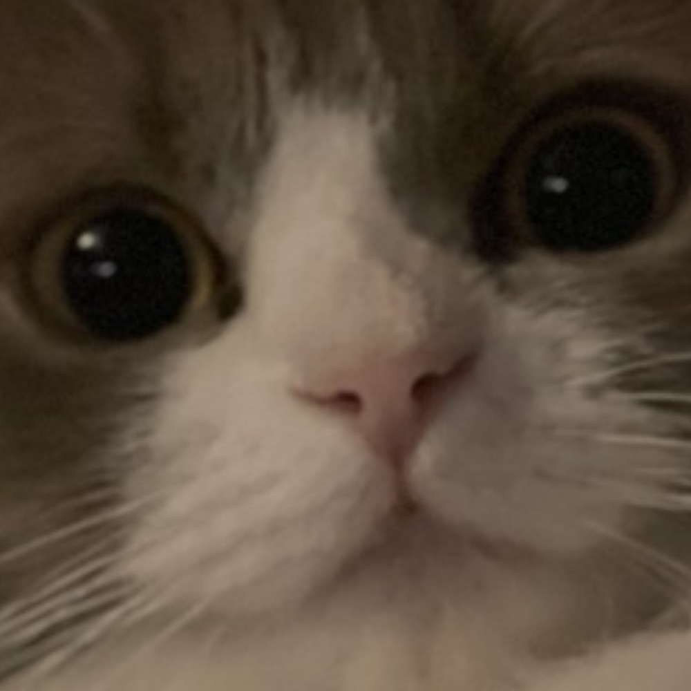 Meet your Posher, Stephanie